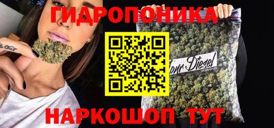 гашик Гай