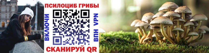 дарнет шоп  Печора  Псилоцибиновые грибы Psilocybine cubensis 