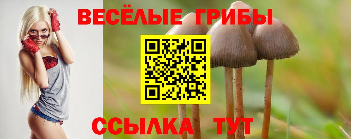 Галлюциногенные грибы ЛСД  Вход с VPN  Печора 